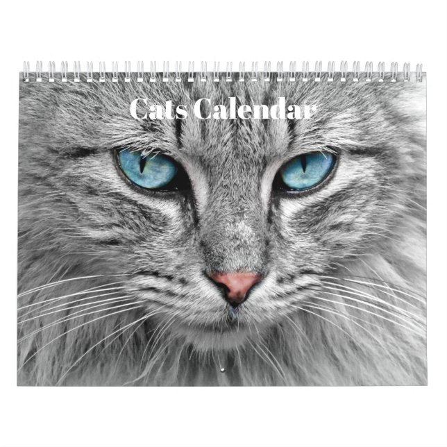 Calendário Bengala Cats 2023 (Capa)