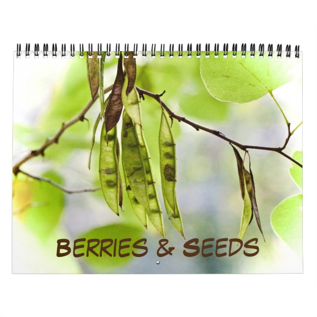 Calendário ~ Berries & Seeds (Capa)