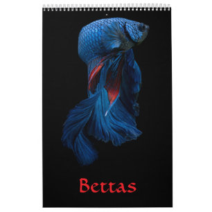 Calendário Betta Fish Calendar