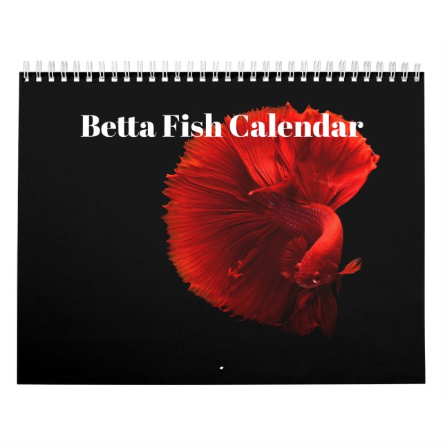 Calendário Bettafish (Capa)