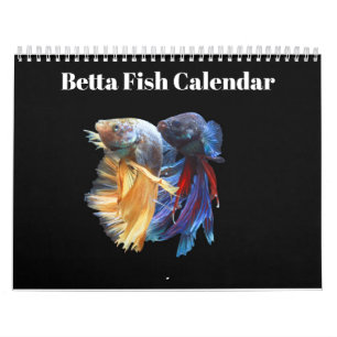 Calendário Bettafish 2025