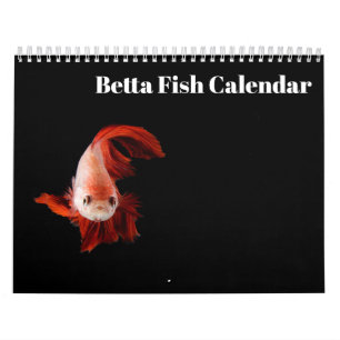 Calendário Bettafish 2027