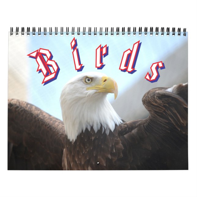 Calendário Bird Calendar (Capa)