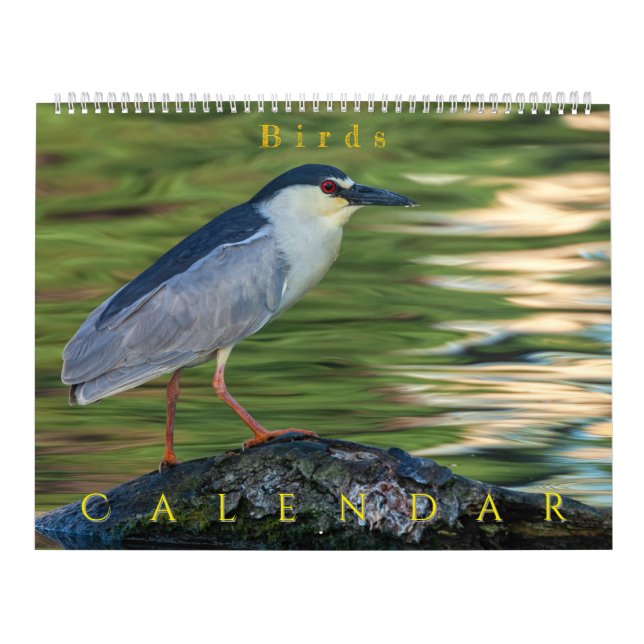 Calendário Birds (Capa)