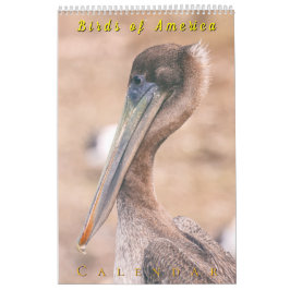 Calendário Birds of America