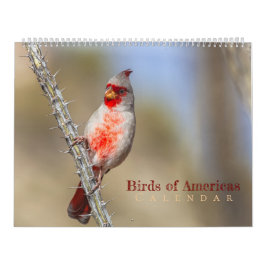 Calendário Birds of Americas 