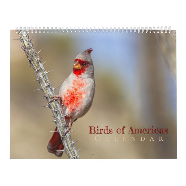 Calendário Birds of Americas  (Capa)
