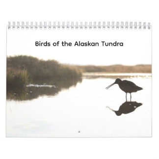 Calendário Birds of the Alaskan Tundra Calendar