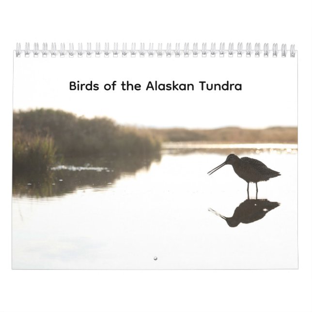 Calendário Birds of the Alaskan Tundra Calendar (Capa)
