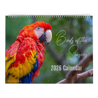 Calendário Birds of the Seasons 12 Month Nature Calendar