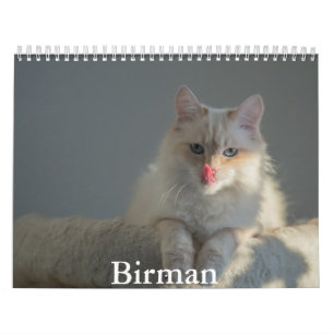 Calendário Birman