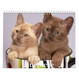 Calendário birmanês