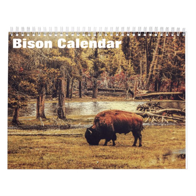 Calendário Bison Buffalo 2025 (Capa)