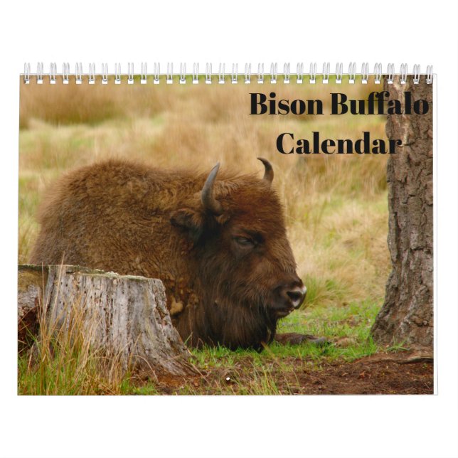 Calendário Bison Buffalo 2026 (Capa)