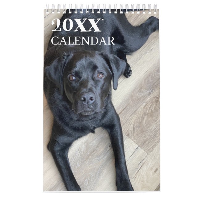 Calendário Black Lab Calendar Labrador Retriever 2026 (Capa)