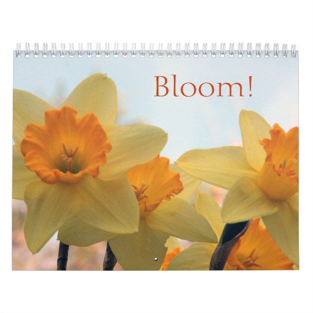 Calendário Blooms (Capa)