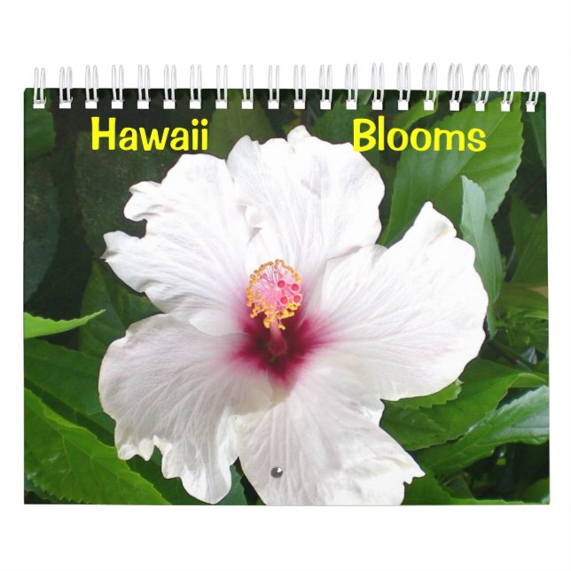 Calendário Blooms do Havaí (Capa)