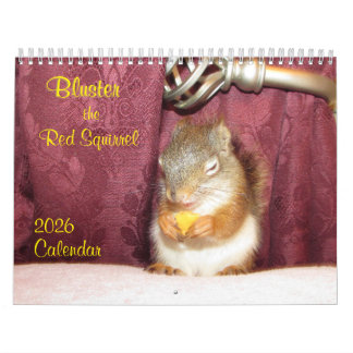 Calendário Bluster the Red Squirrel 2026 Calendar