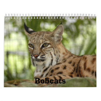 Calendário BobcatBCR032, linces