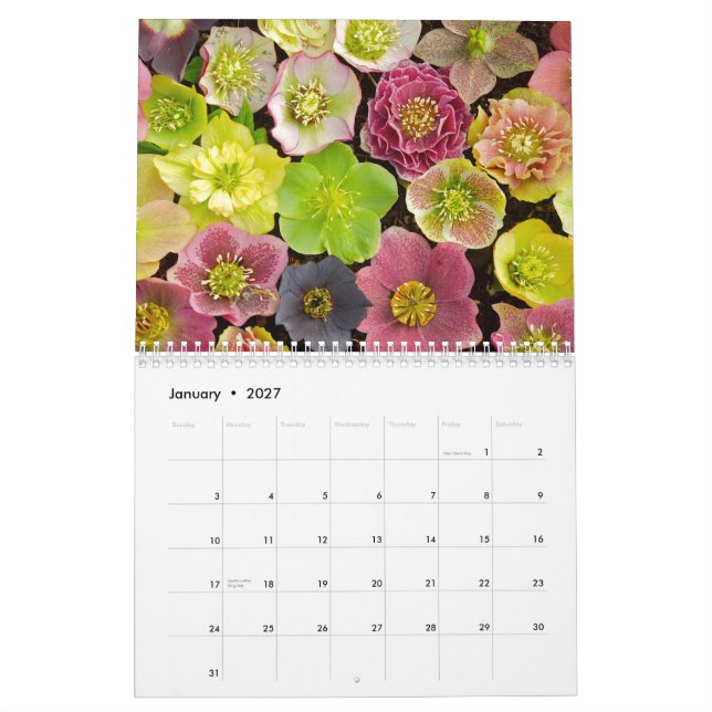 Calendário bonito 2013 das flores (Jan 2027)