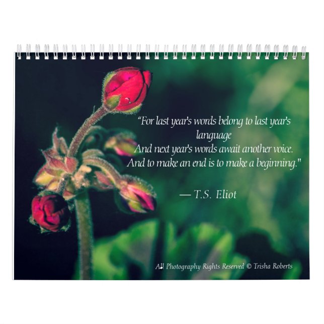 Calendário bonito 2018 da fotografia da variedade (Capa)