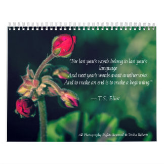Calendário bonito 2018 da fotografia da variedade