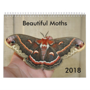 Calendário bonito 2018 das traças