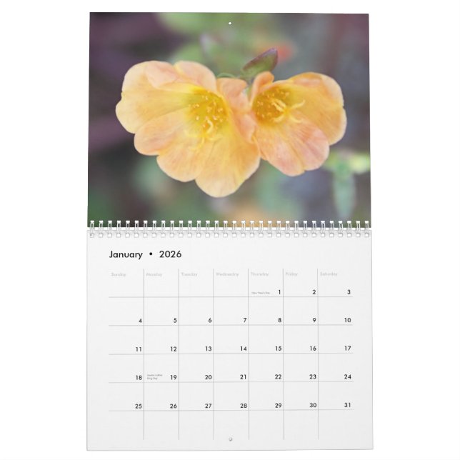 calendário bonito da fotografia de 2013 flores (Jan 2026)