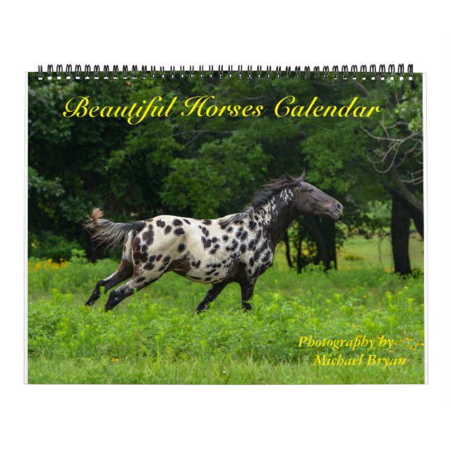 Calendário bonito de 12 cavalos do mês, grande (Capa)