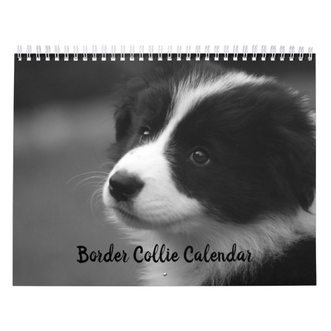 Calendário Bonito do Cão Border Collie (Capa)