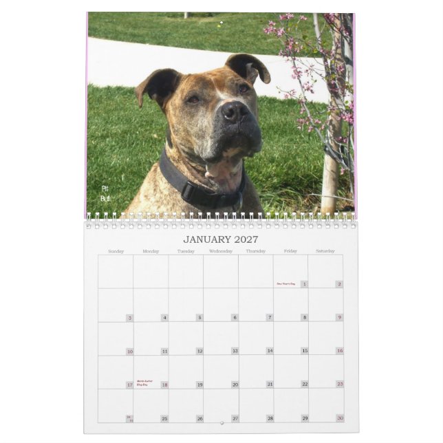Calendário bonito do cão de Bullys 2012 (Jan 2027)