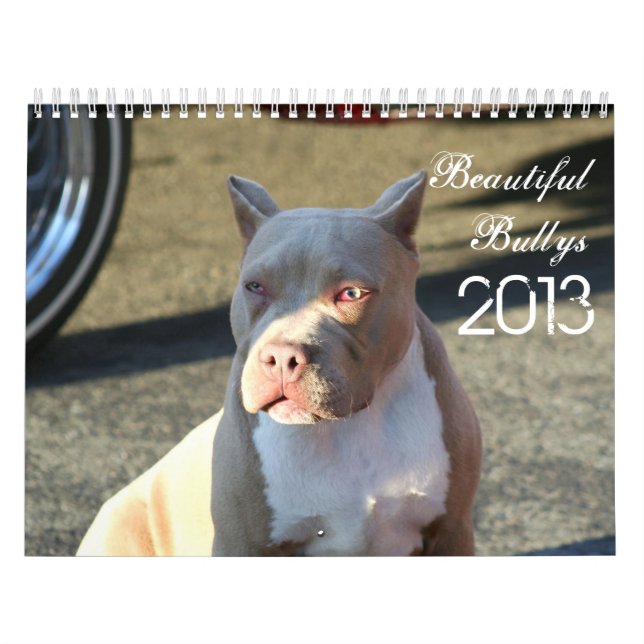 Calendário bonito do cão de Bullys 2013 (Capa)