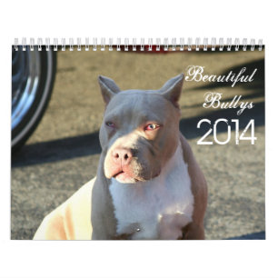 Calendário bonito do cão de Bullys 2014