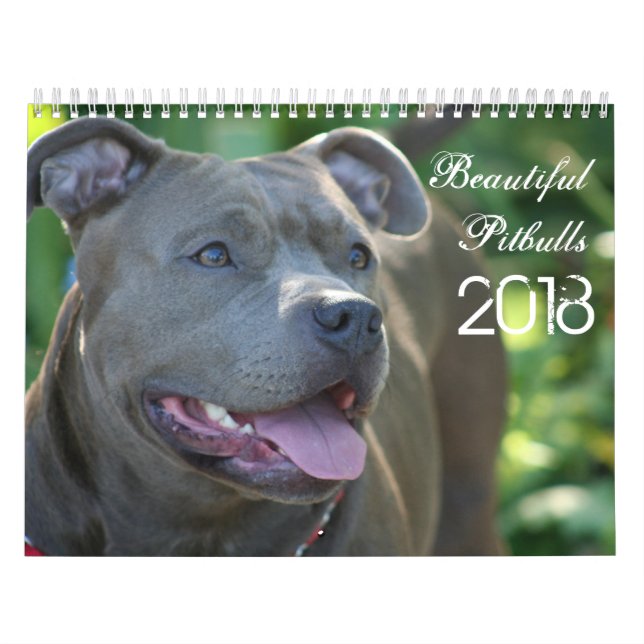 Calendário bonito do cão de Pitbulls 2018 (Capa)