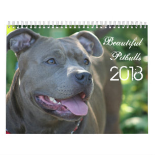 Calendário bonito do cão de Pitbulls 2018