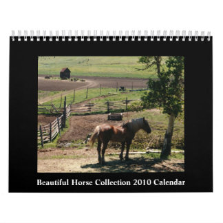 Calendário bonito do cavalo 2010