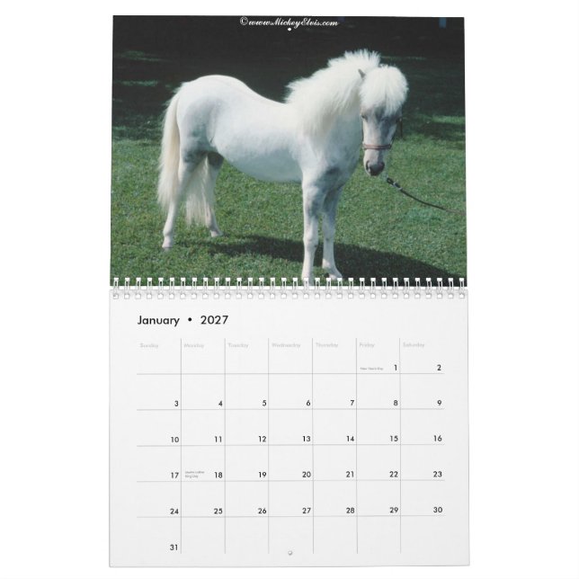 Calendário bonito do cavalo 2010 (Jan 2027)
