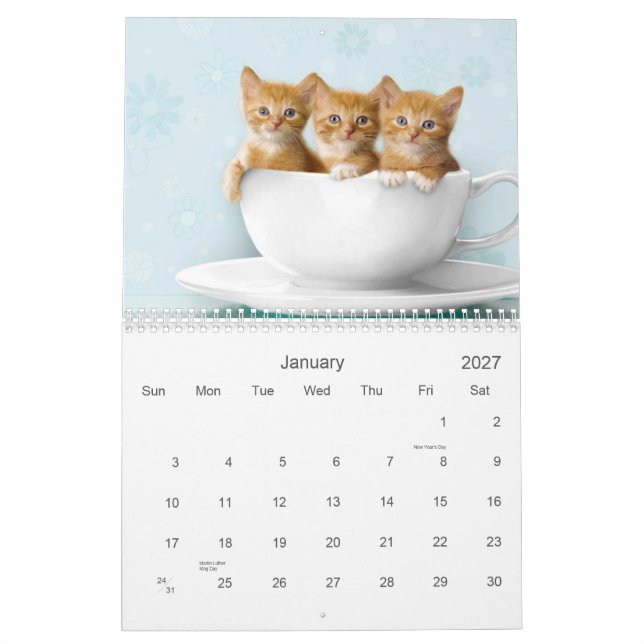 Calendário bonito do gatinho (Jan 2027)