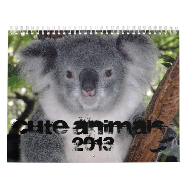 CALENDÁRIO BONITO DOS ANIMAIS 2013 (Capa)
