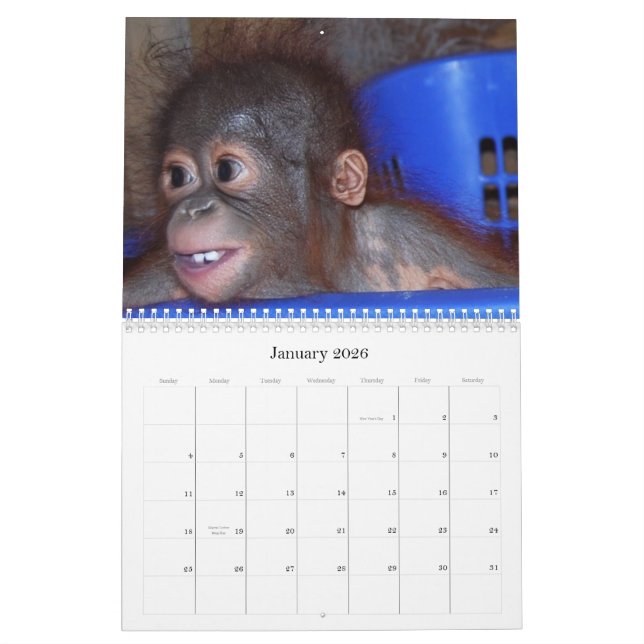 Calendário bonito dos bebês dos animais selvagens (Jan 2026)