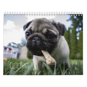 Calendário bonito dos cães dos Pugs - customizá