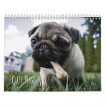 Calendário bonito dos cães dos Pugs - customizável