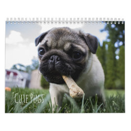 Calendário bonito dos cães dos Pugs - customizável
