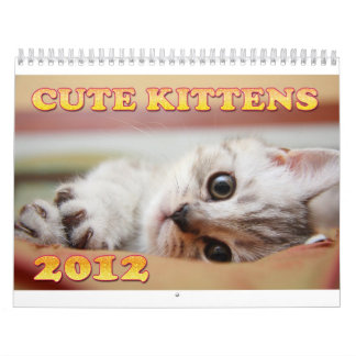 Calendário bonito dos gatinhos 2012