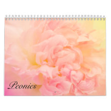 Bonito Incrível Peonies