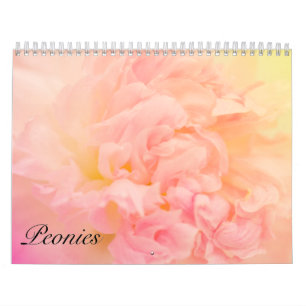 Calendário Bonito Incrível Peonies