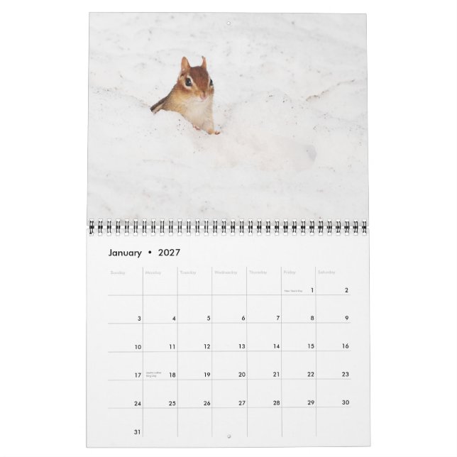 Calendário bonito louco dos Chipmunks 2015 (Jan 2027)