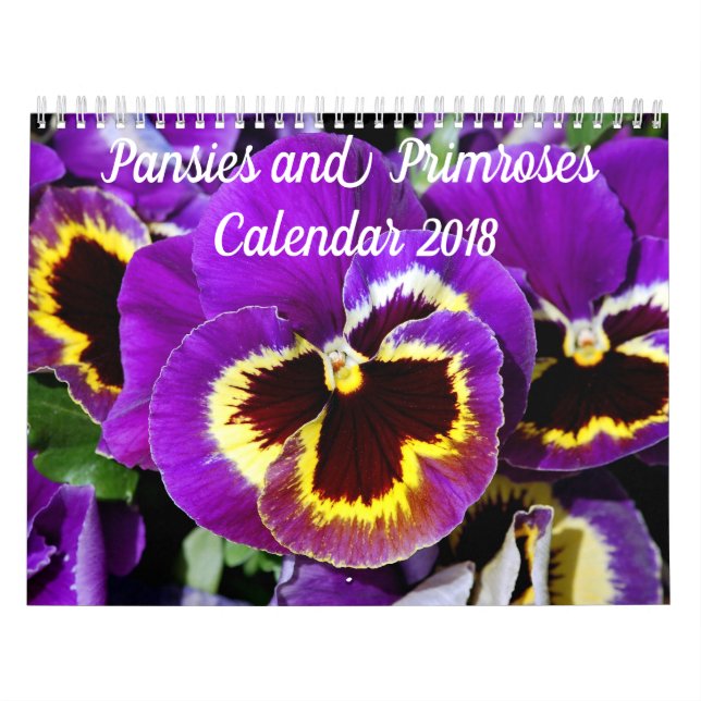 Calendário Bonito pansias e primatas (Capa)