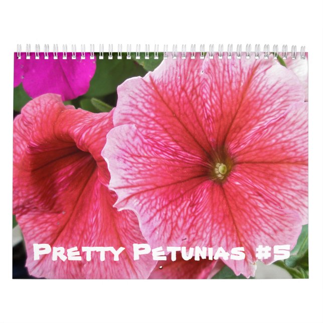 Calendário - Bonito Petunias #5 (Capa)