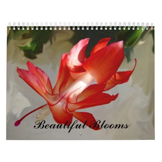 Calendário - Bons Blooms (Capa)